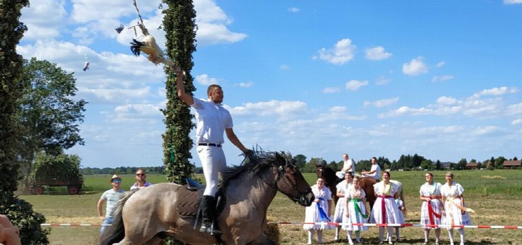 Hahnrupfen in Drehnow, Papitz, Saspow & Guhrow