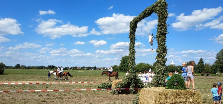 Hahnrupfen in Dissen